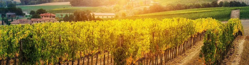 Измерение температуры